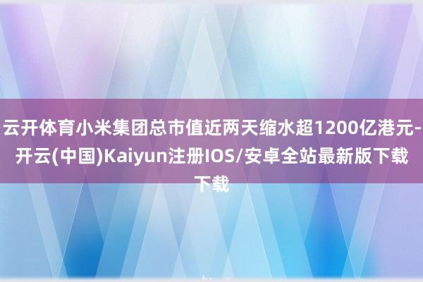 云开体育小米集团总市值近两天缩水超1200亿港元-开云(中国)Kaiyun注册IOS/安卓全站最新版下载