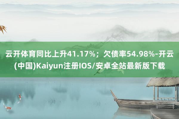 云开体育同比上升41.17%；欠债率54.98%-开云(中国)Kaiyun注册IOS/安卓全站最新版下载