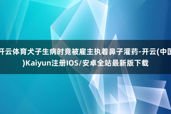 开云体育犬子生病时竟被雇主执着鼻子灌药-开云(中国)Kaiyun注册IOS/安卓全站最新版下载