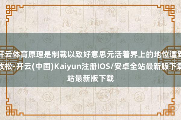 开云体育原理是制裁以致好意思元活着界上的地位遭到放松-开云(中国)Kaiyun注册IOS/安卓全站最新版下载