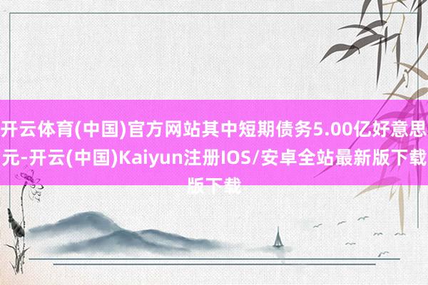 开云体育(中国)官方网站其中短期债务5.00亿好意思元-开云(中国)Kaiyun注册IOS/安卓全站最新版下载